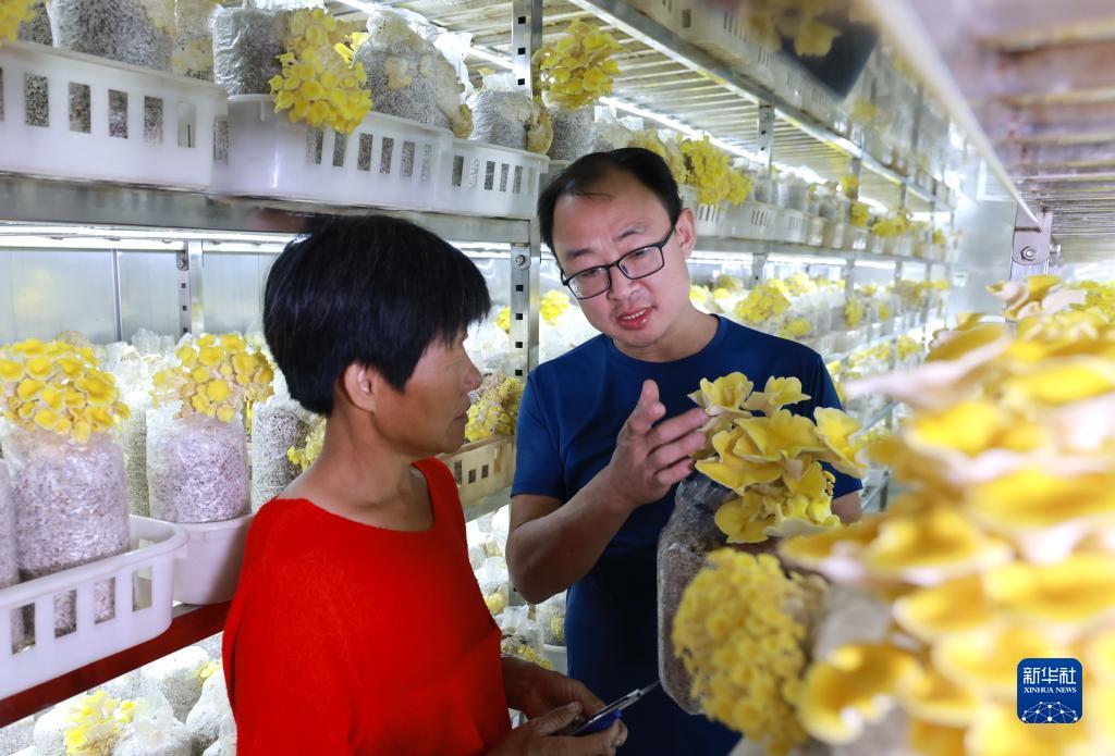 澳门角子机哪里最好打